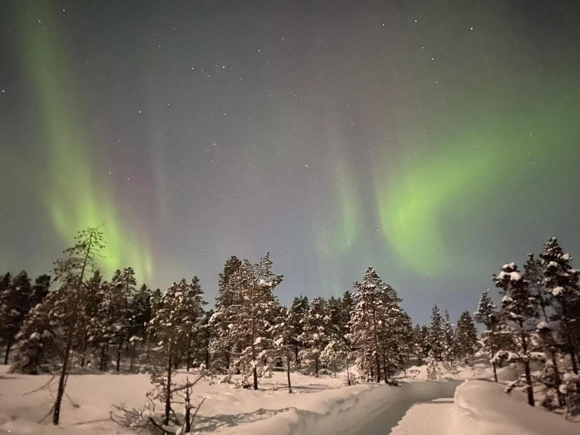 Malangen Lodge Mestervik Екстериор снимка
