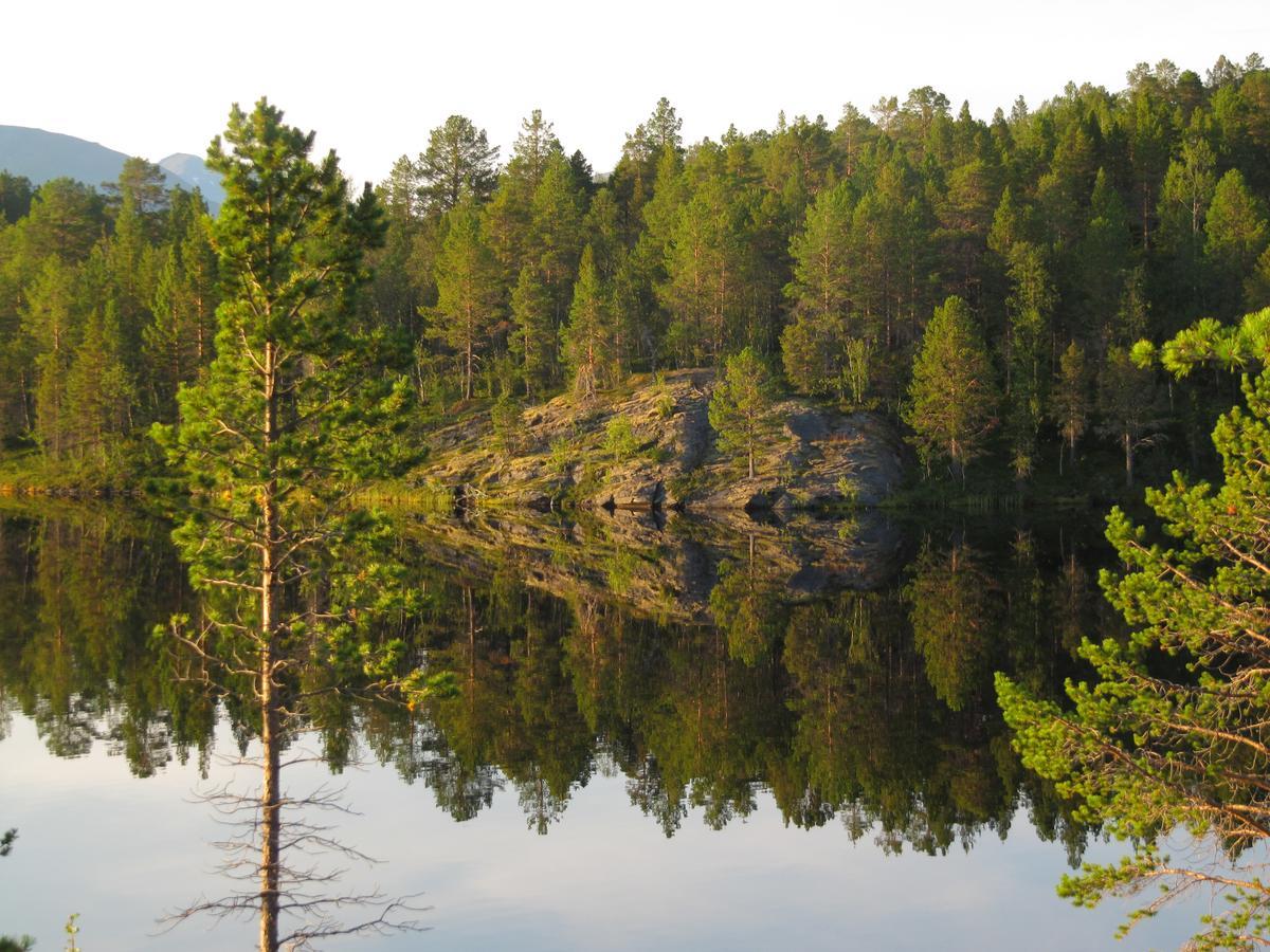 Malangen Lodge Mestervik Екстериор снимка