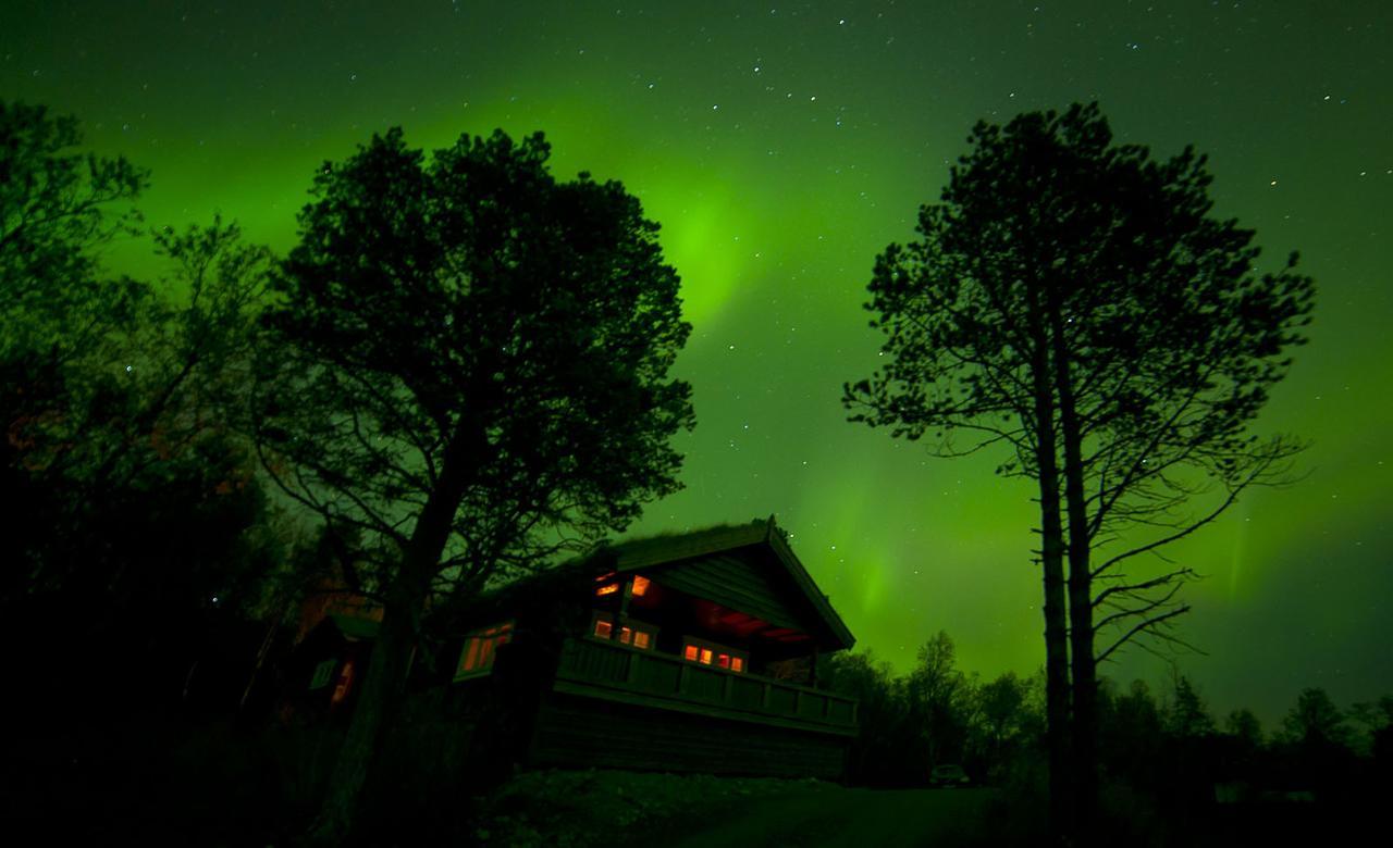 Malangen Lodge Mestervik Екстериор снимка