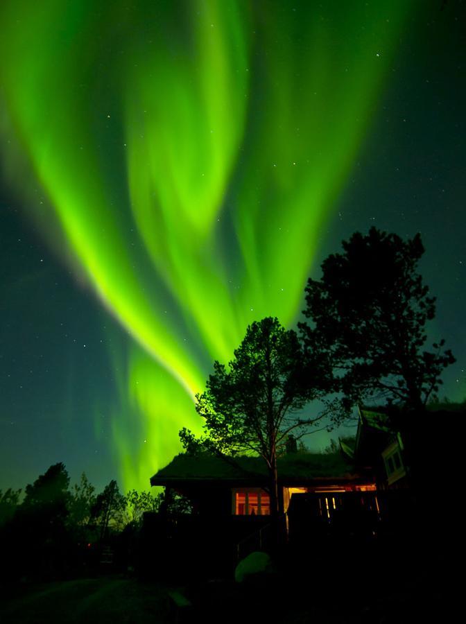 Malangen Lodge Mestervik Екстериор снимка