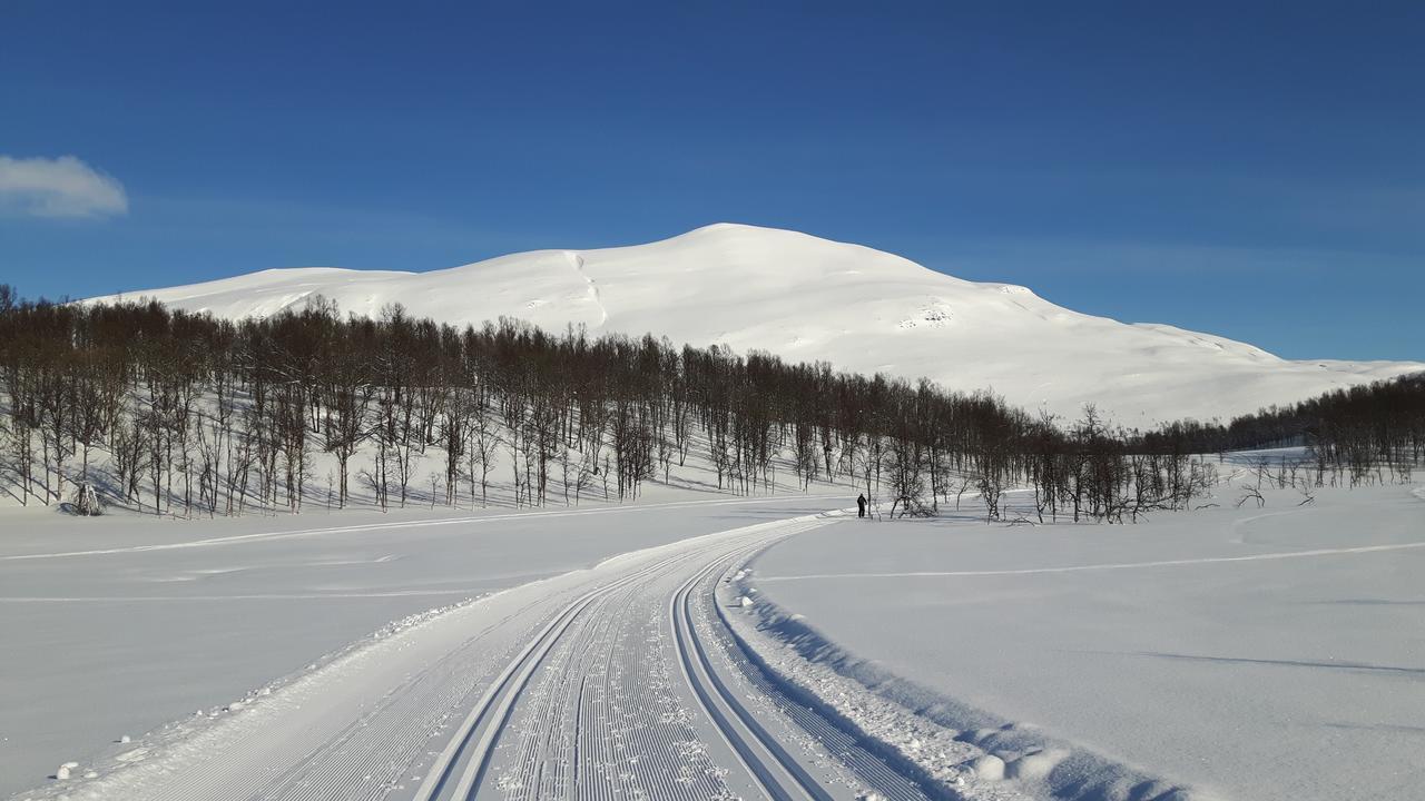 Malangen Lodge Mestervik Екстериор снимка