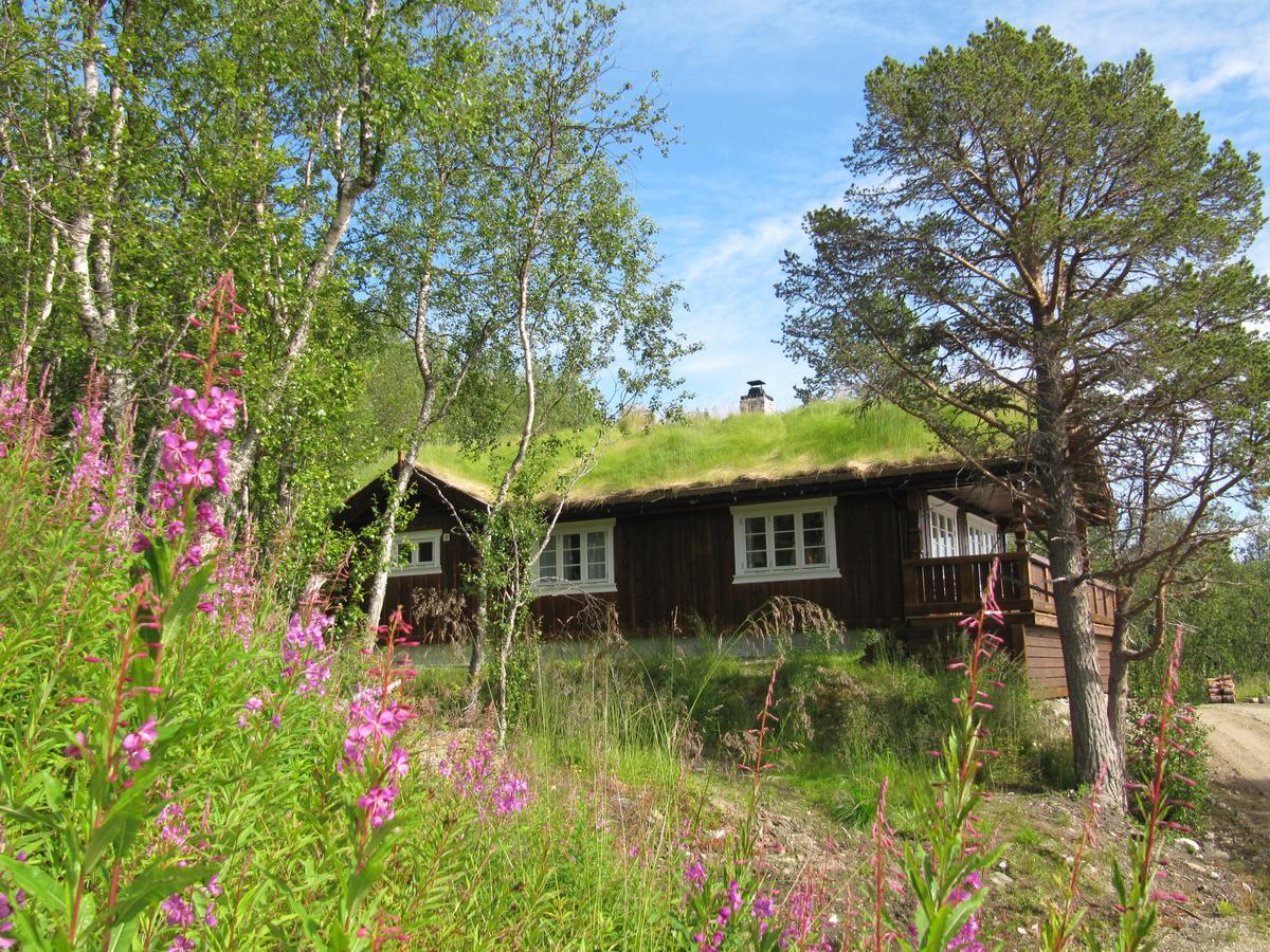 Malangen Lodge Mestervik Екстериор снимка